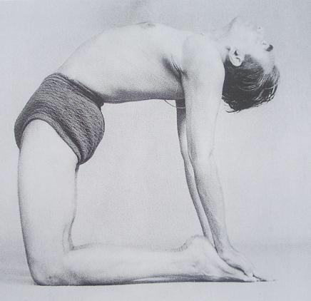 Yogacharya Sri BKS IYENGAR (5)