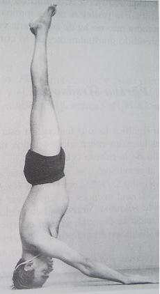 Yogacharya Sri BKS IYENGAR (7)
