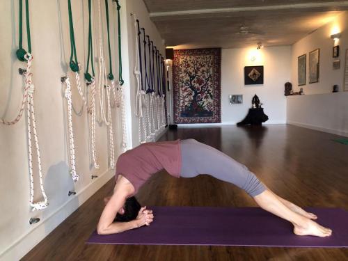 asanas (11)