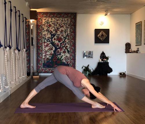 asanas (14)