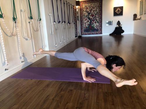 asanas (3)